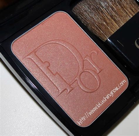 dior bronze blush.